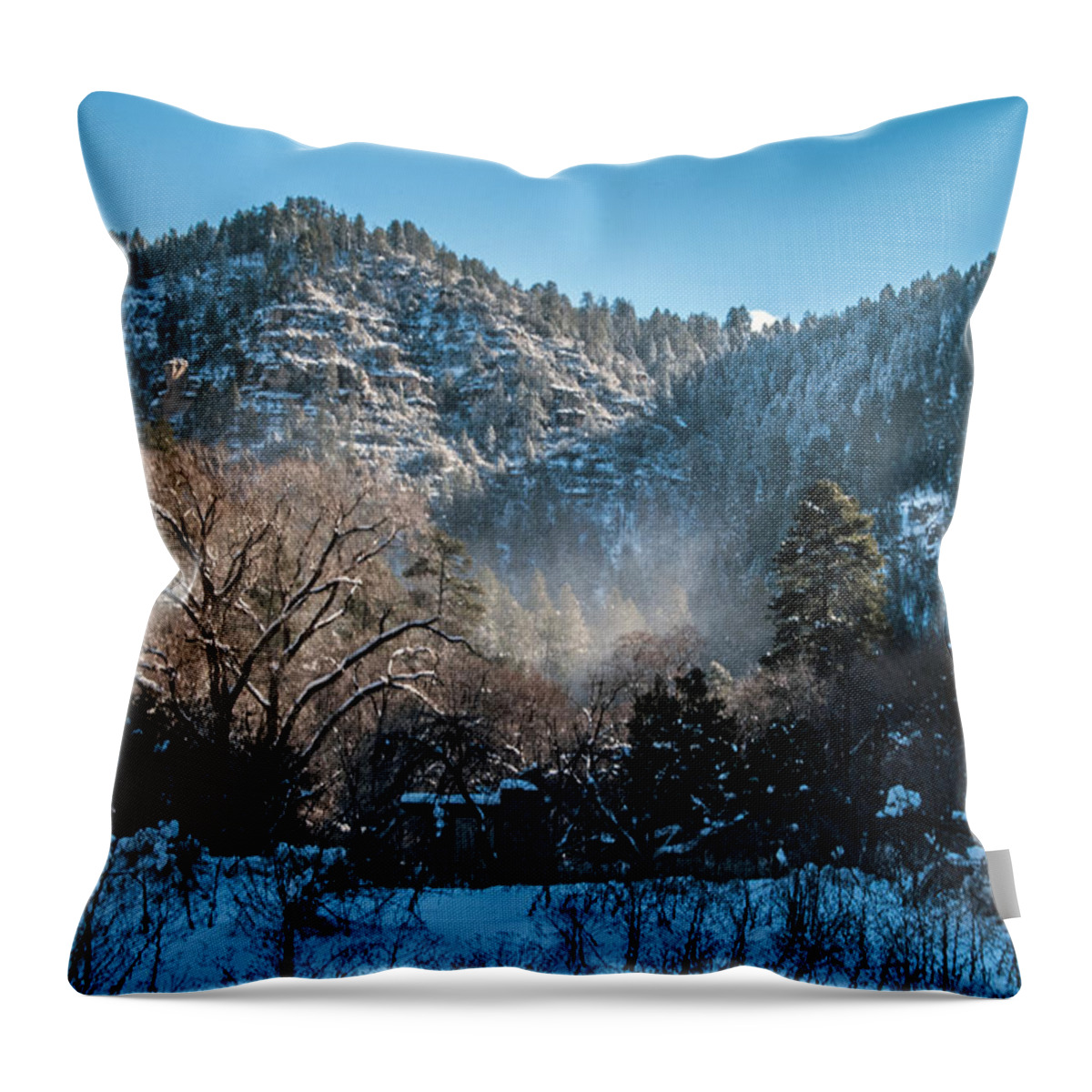 Snow Throw Pillow featuring the photograph Snow Flurry in West Fork by Tam Ryan