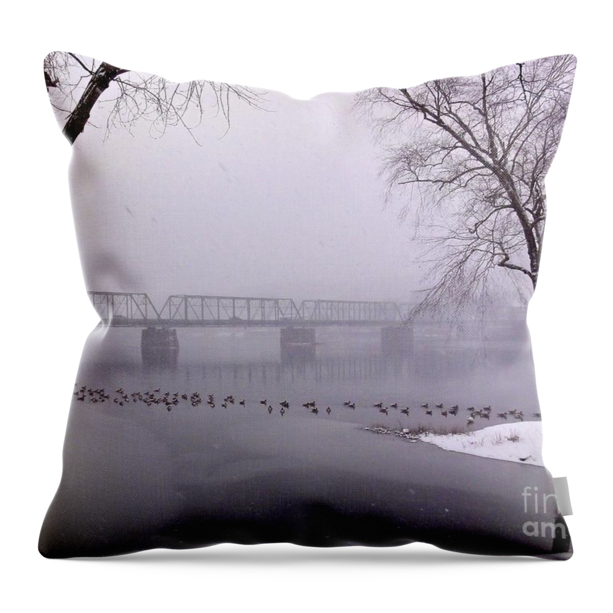 Birds Throw Pillow featuring the photograph Snow from Lewis Island Bridge by Christopher Plummer