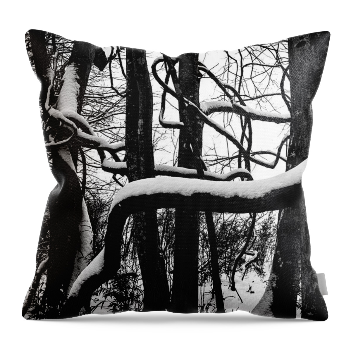 Photo Throw Pillow featuring the photograph Snow in the Jungle by John Haldane