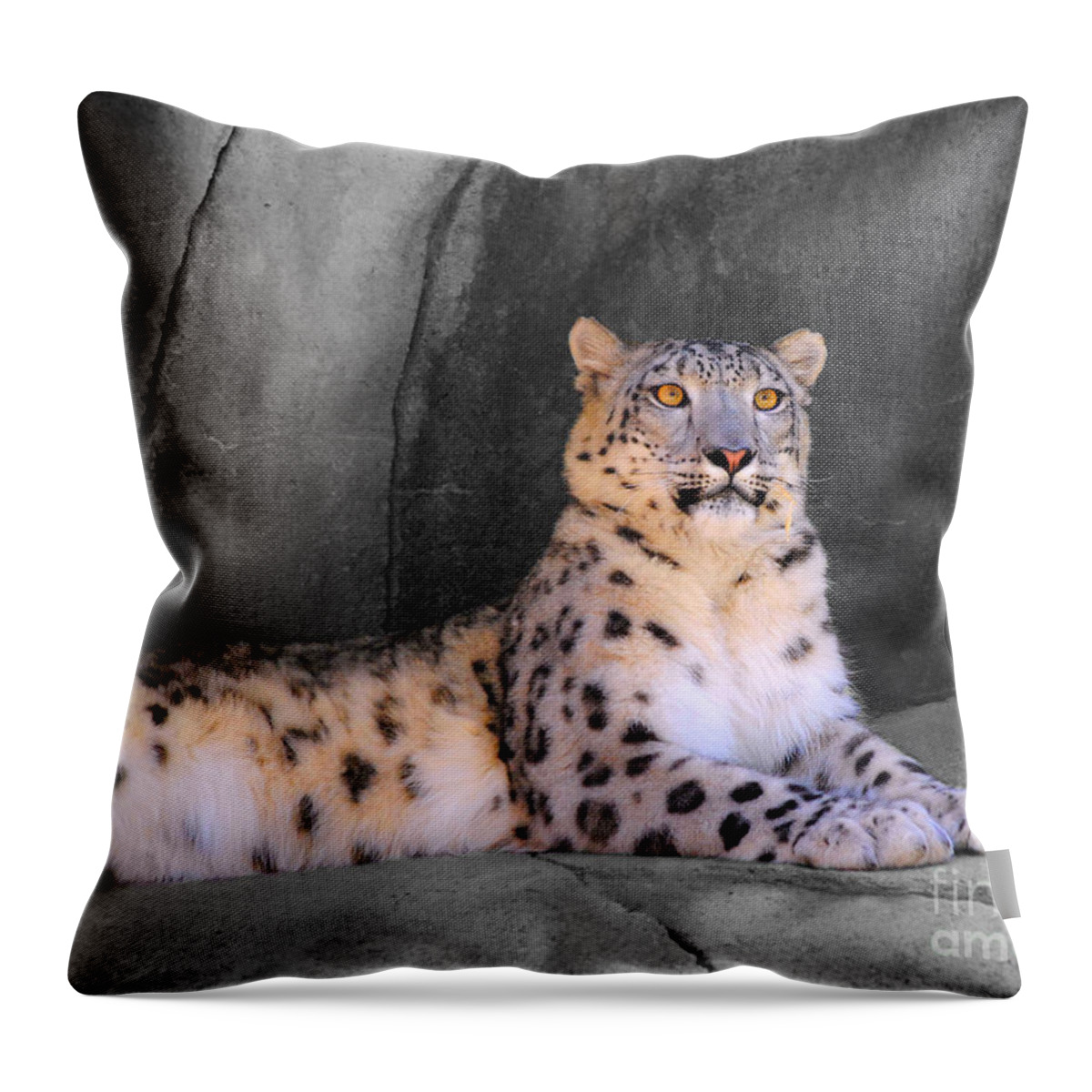 Snow Leopard Throw Pillow featuring the photograph Snow Leopard II by Jai Johnson