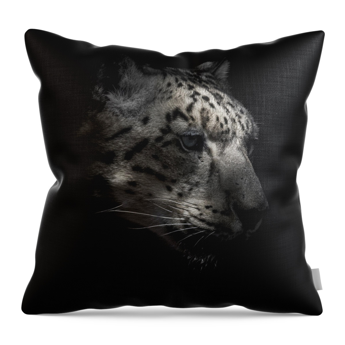 Snow Leopards Throw Pillow featuring the photograph Snow Leopard Portrait by Ernest Echols
