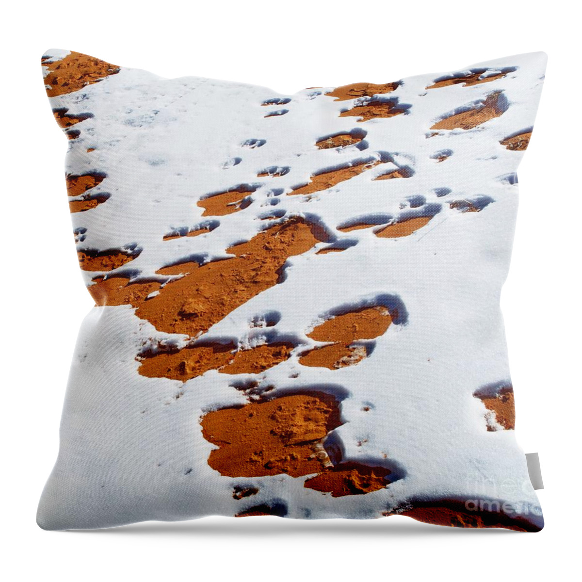 Landscape Throw Pillow featuring the digital art Snow on Dunes by Tim Richards