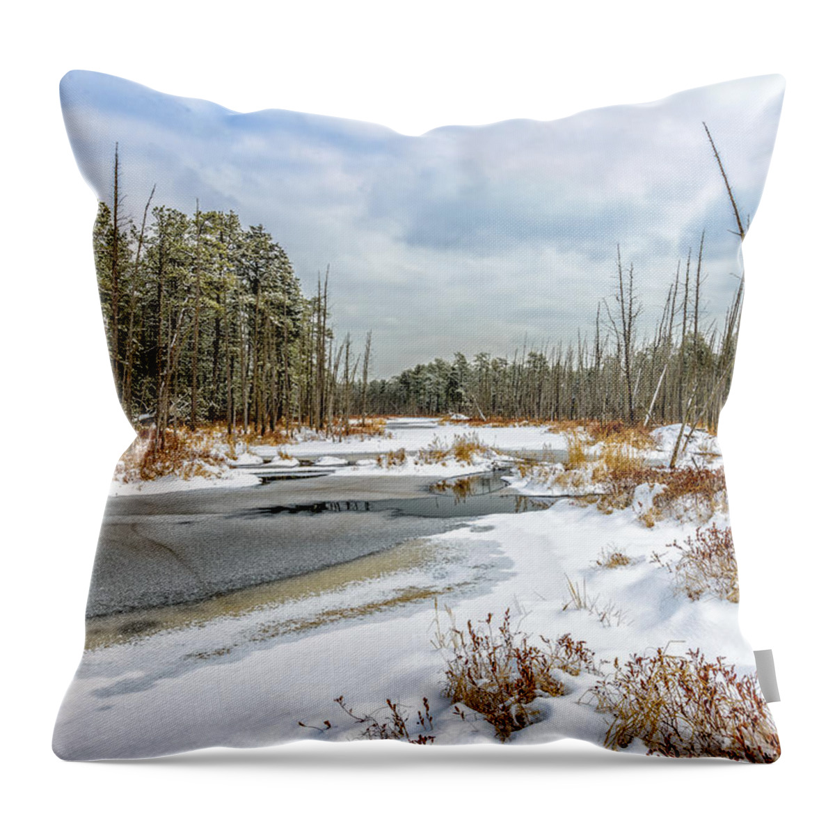 New Jersey Throw Pillow featuring the photograph Snow on Roberts Branch by Louis Dallara