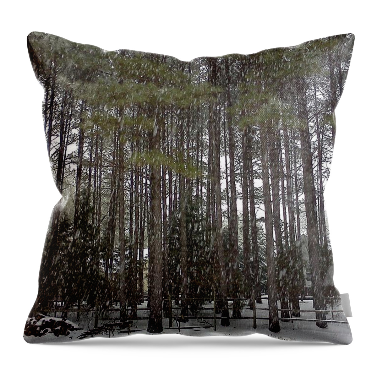 Snow Throw Pillow featuring the photograph Snow on the Pines by Stacy C Bottoms