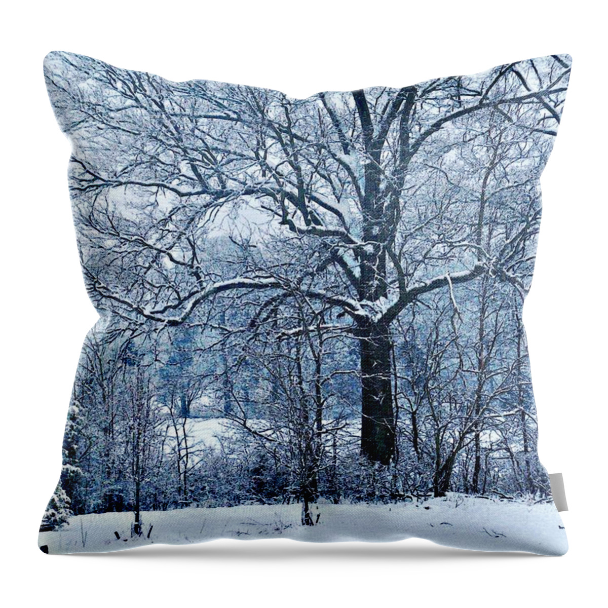 Snow Throw Pillow featuring the photograph Snow by Sarah Loft