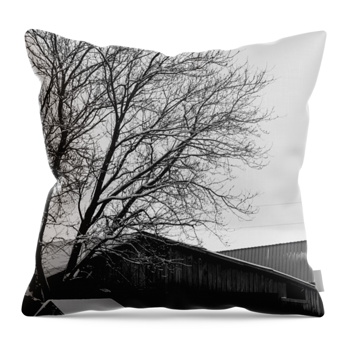 Snow Throw Pillow featuring the photograph Snow Scene by Holden The Moment