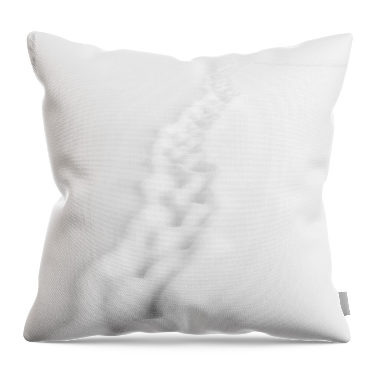 Landscape Throw Pillow featuring the photograph Snow Trail by Alexander Fedin