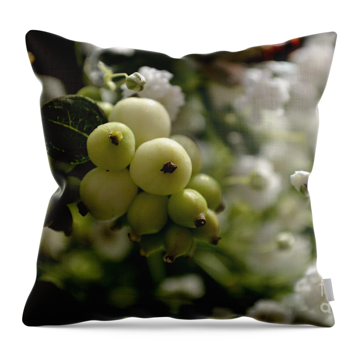 Snow Throw Pillow featuring the photograph Snowberries by Scott Lyons