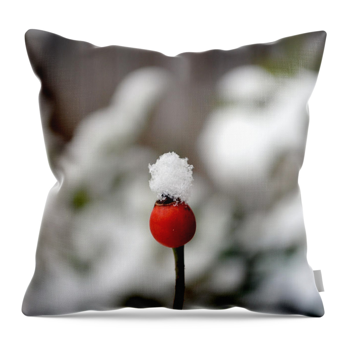 Snow Throw Pillow featuring the photograph Snowcap by Kelly Nowak