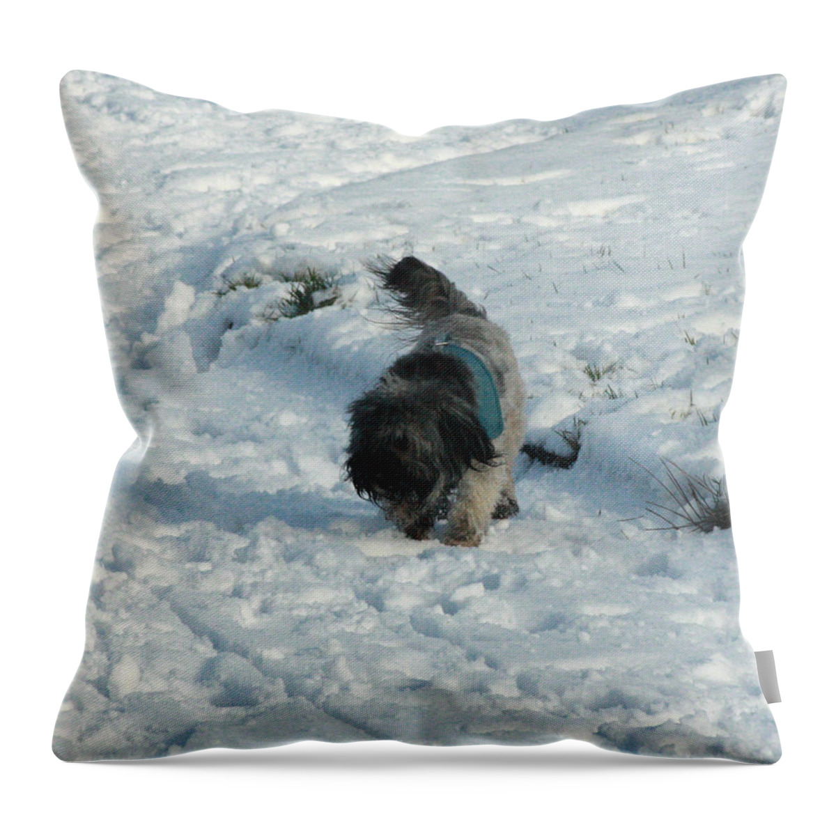 Dogs Throw Pillow featuring the photograph Snowdog by Patricia De jong