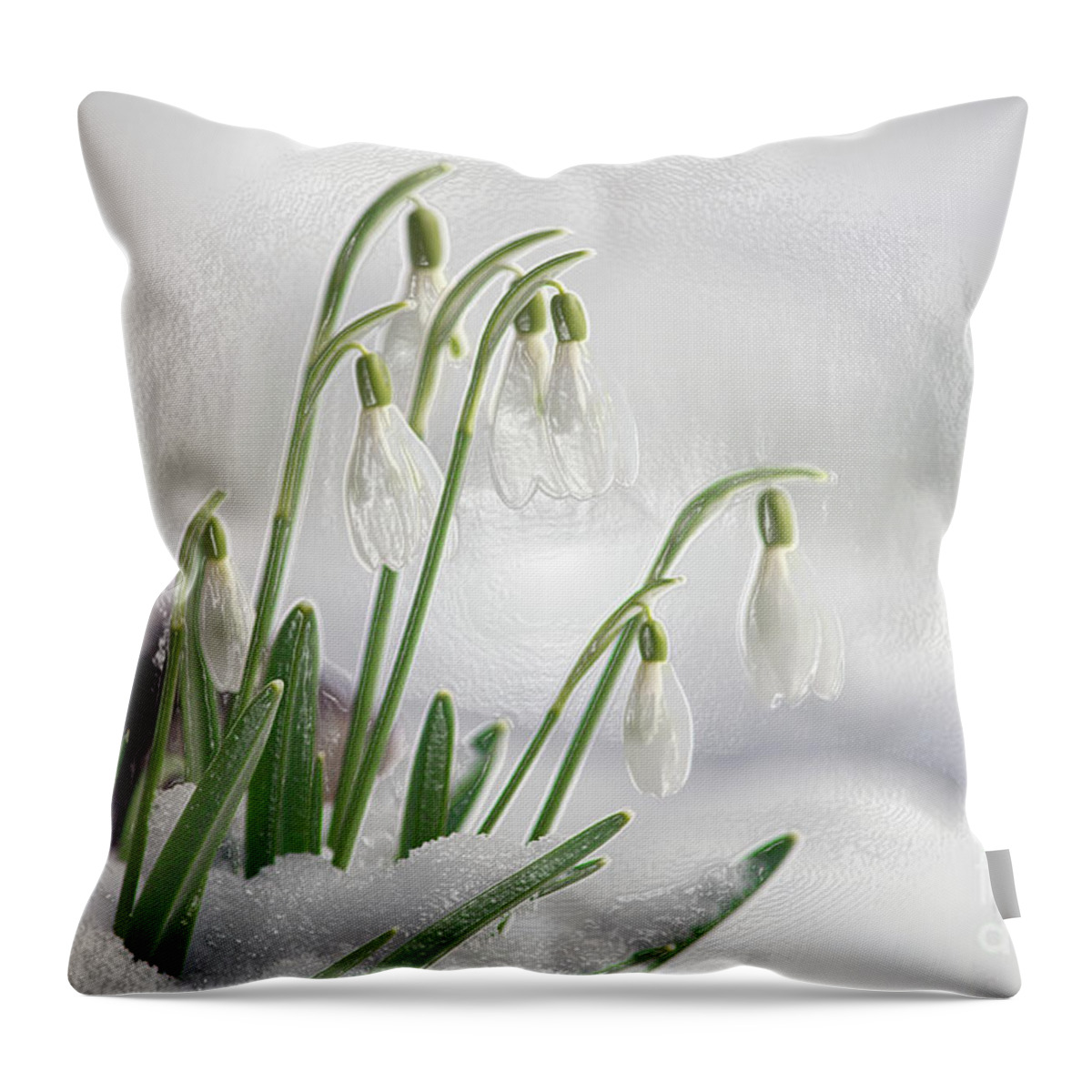 Snowdrops Throw Pillow featuring the photograph Snowdrops on Ice by Sharon Talson