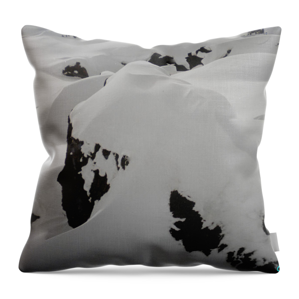 Colette Throw Pillow featuring the photograph Snowface Mother Earth Protecter Ischgl Austria by Colette V Hera Guggenheim