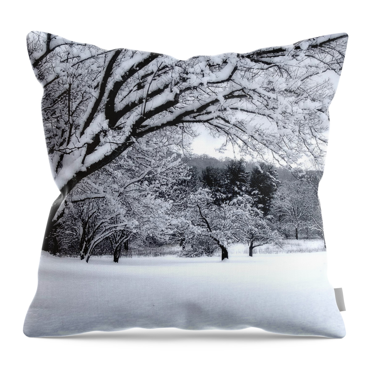 Snow Throw Pillow featuring the digital art Snowfall by Bruce Rolff