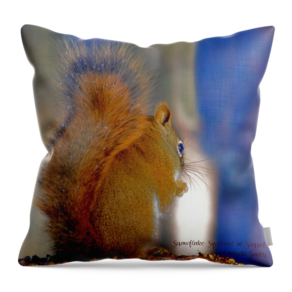 Squirrel Throw Pillow featuring the photograph Snowflake Squirrel at Sunset by Amanda Smith