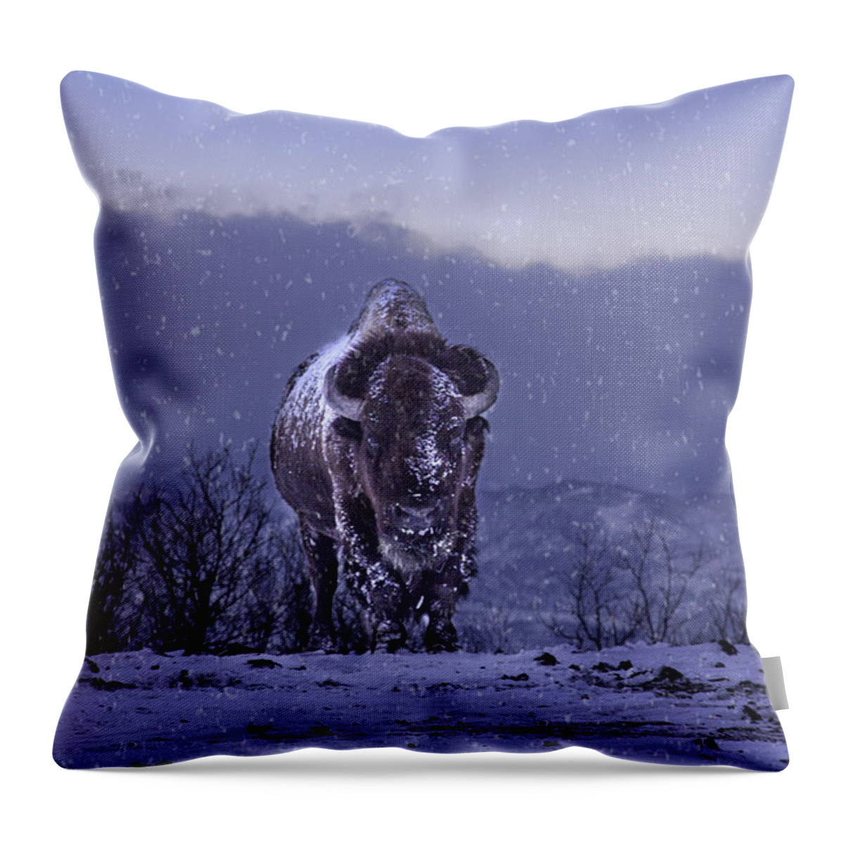 American Bison Throw Pillow featuring the photograph Snowflakes Falling on My Head by Kristal Kraft