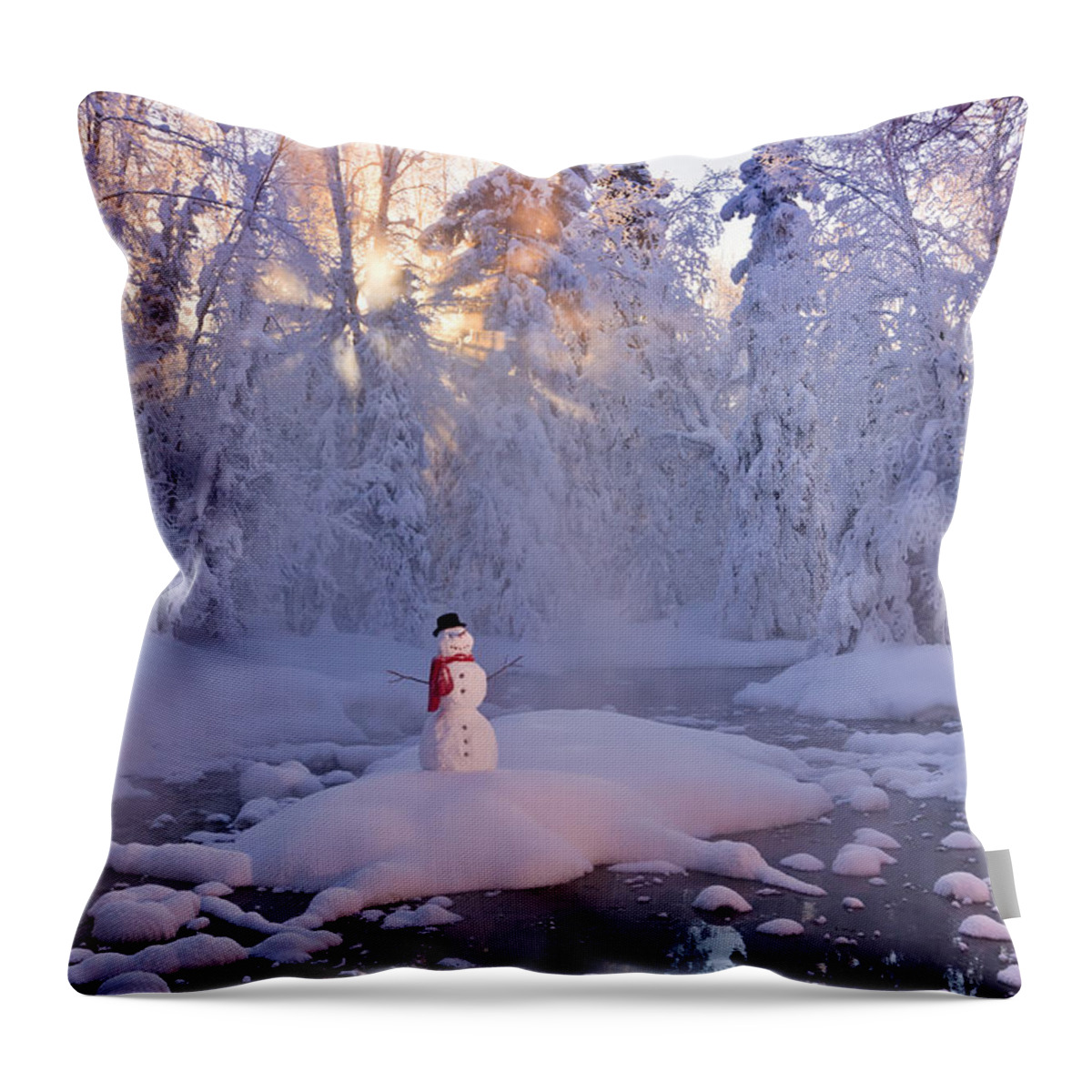 Smith Throw Pillow featuring the photograph Snowman Standing On A Small Island by Kevin Smith