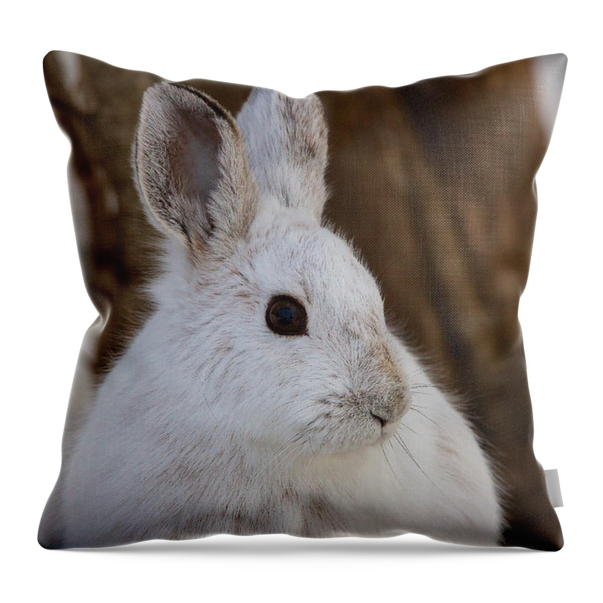 Snowshoe Hare Throw Pillow featuring the photograph Snowshoe Hare by Nature and Wildlife Photography