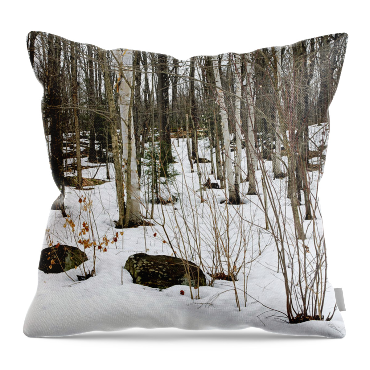 Forest Throw Pillow featuring the photograph Snowy Carpet by Keith Armstrong