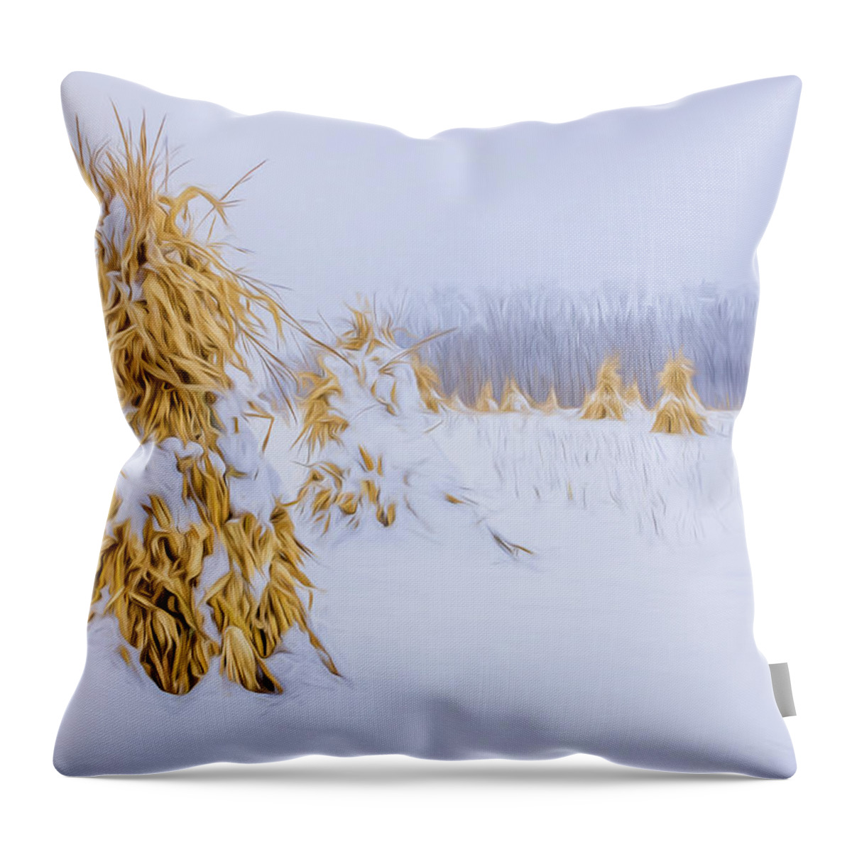 Abstract Throw Pillow featuring the photograph Snowy Corn Shocks - Artistic by Chris Bordeleau