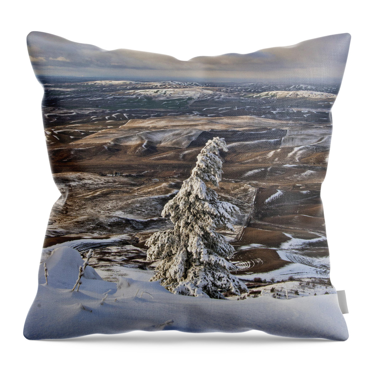 steptoe Butte Throw Pillow featuring the photograph Snowy Day In The Palouse by Paul DeRocker