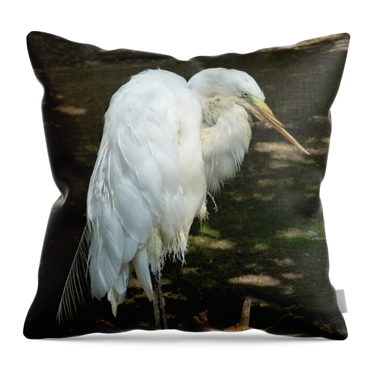 White Throw Pillow featuring the photograph Snowy Egret 2 by Richard Bryce and Family