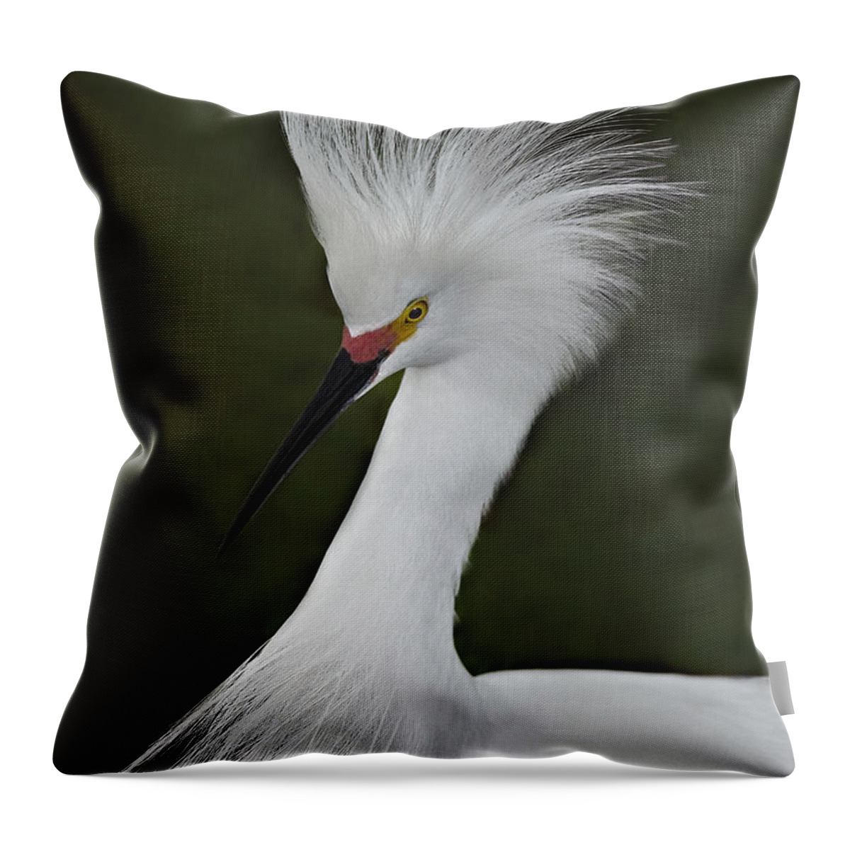 Snowy Egret Throw Pillow featuring the photograph Snowy Egret Display by Susan Candelario