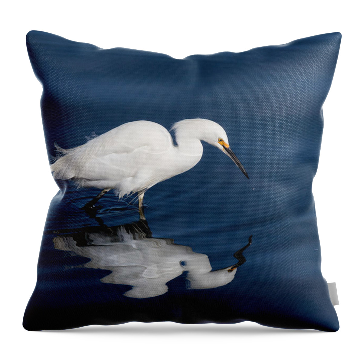 Nature Throw Pillow featuring the photograph Snowy Egret in the Looking Glass by Kathleen Bishop