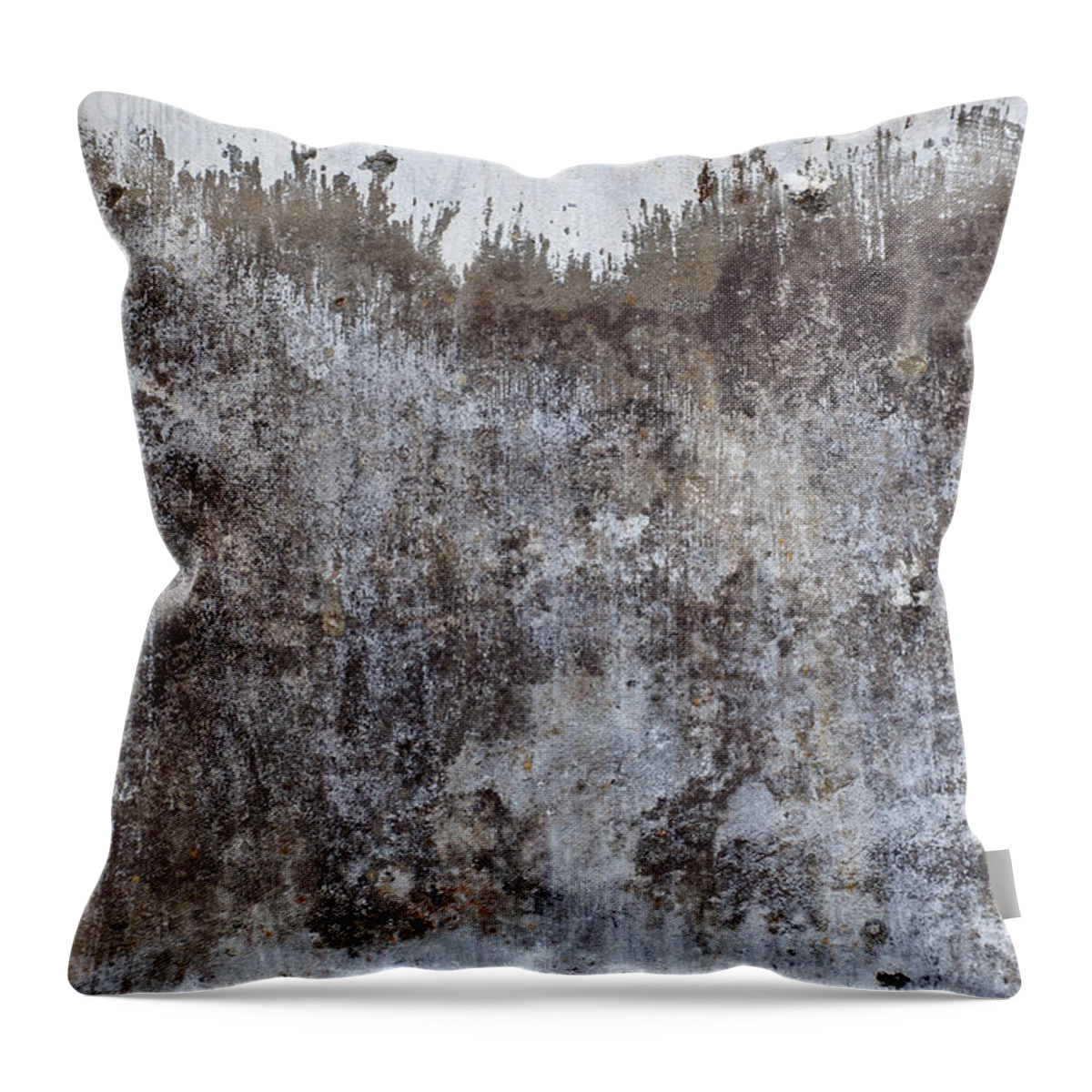 Shades Of Gray Throw Pillow featuring the photograph Snowy Mountain Top 3 by Jani Freimann