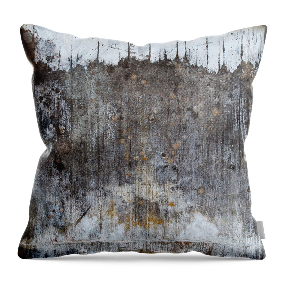 Shades Of Gray Throw Pillow featuring the photograph Snowy Mountain Top And Lake by Jani Freimann