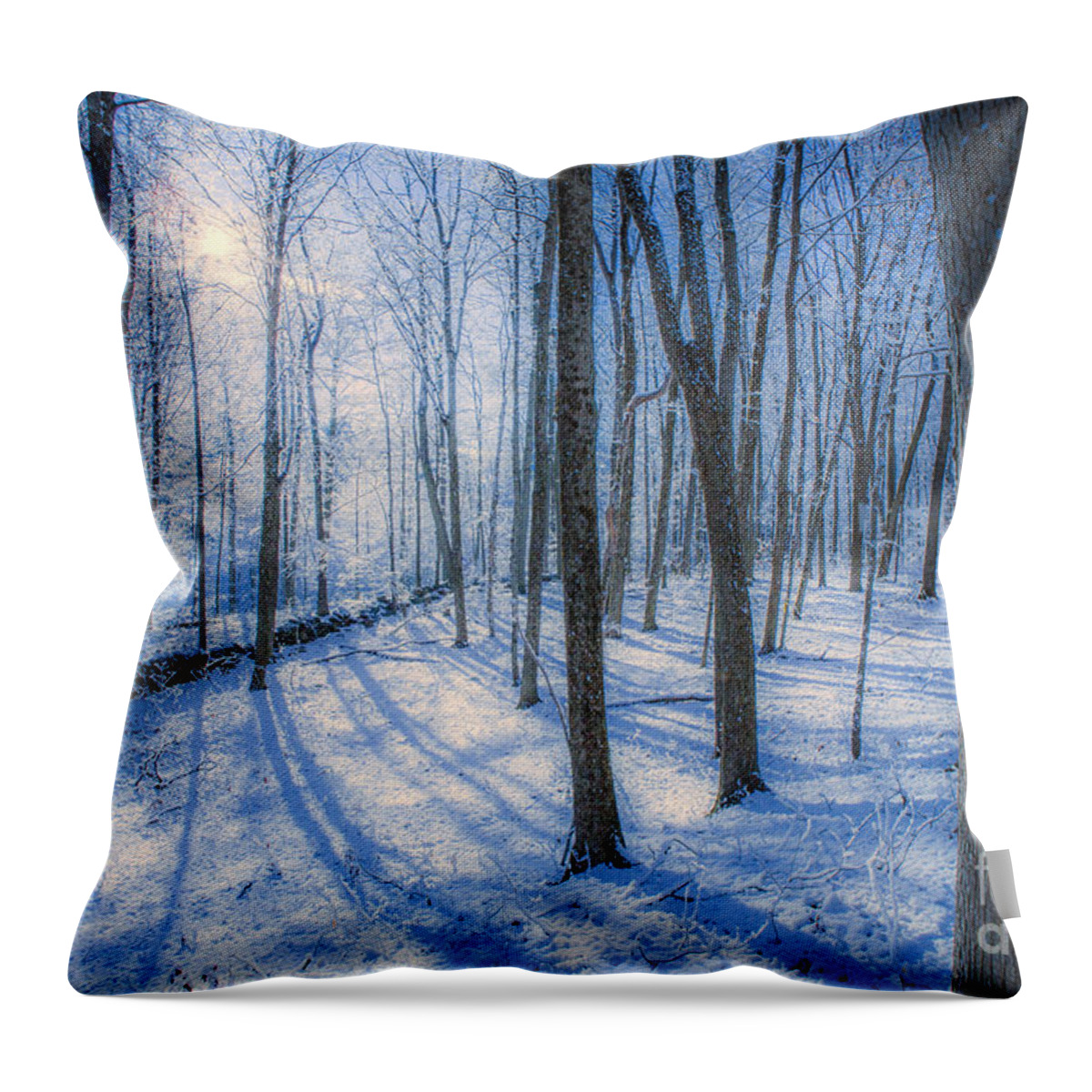 Snow Throw Pillow featuring the photograph Snowy New England Forest by Diane Diederich
