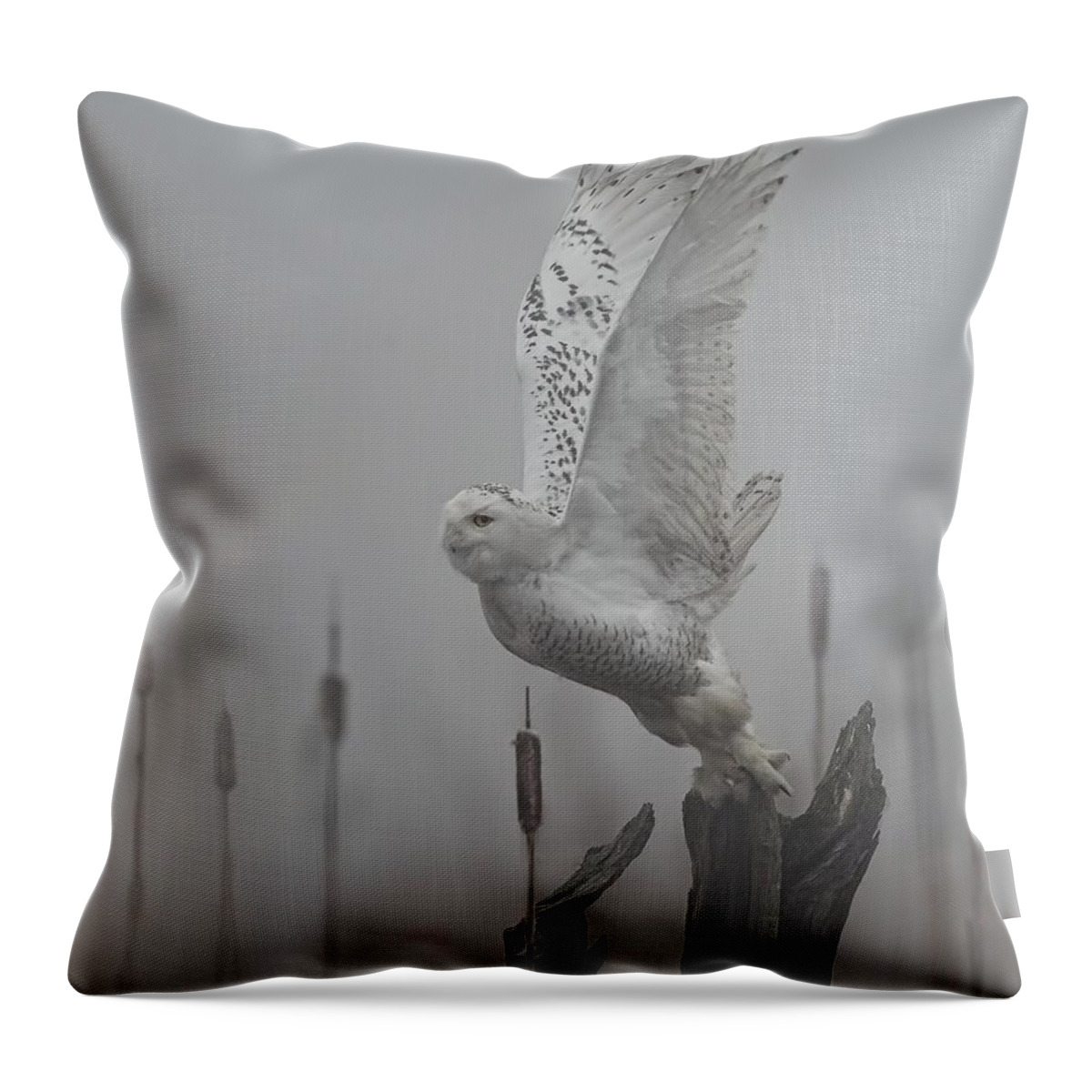 Snowy Owl Throw Pillow featuring the photograph Snowy Owl Blastoff by Daniel Behm