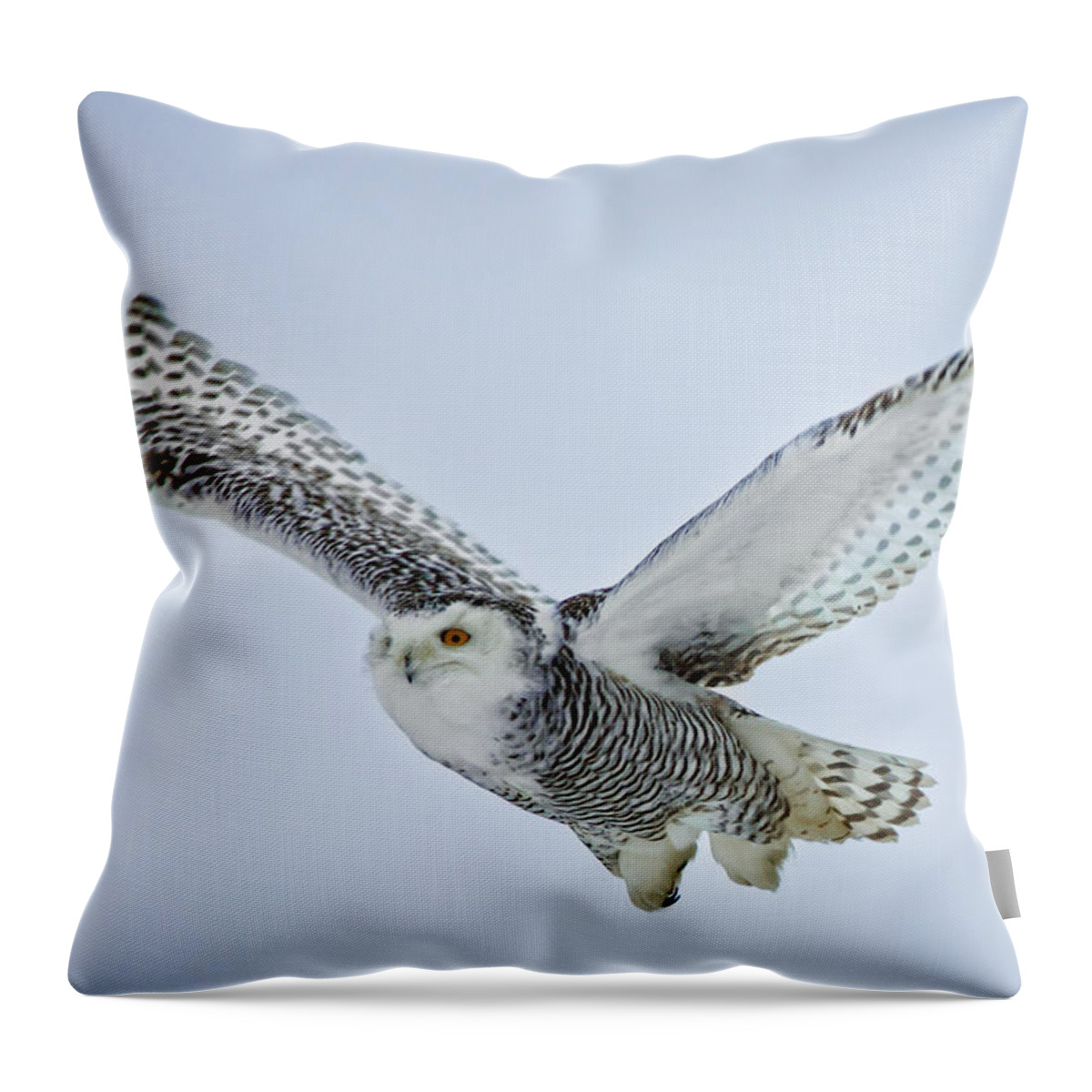 Snowy Owl Throw Pillow featuring the photograph Snowy Owl in flight by Everet Regal