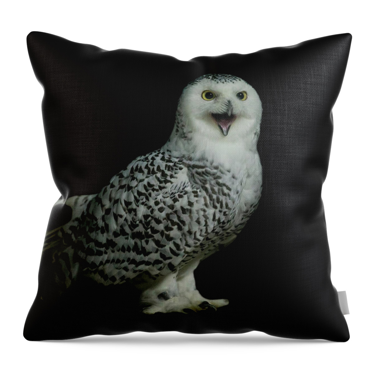 Animal Themes Throw Pillow featuring the photograph Snowy Owl by Manoj Shah