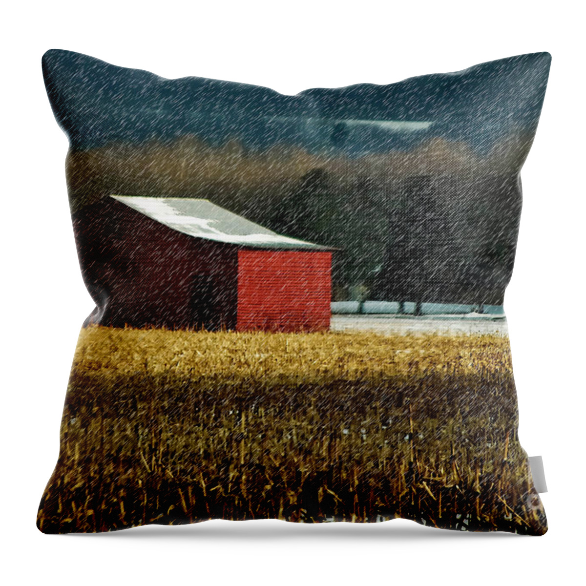 Barn Throw Pillow featuring the photograph Snowy Red Barn In Winter by Lois Bryan