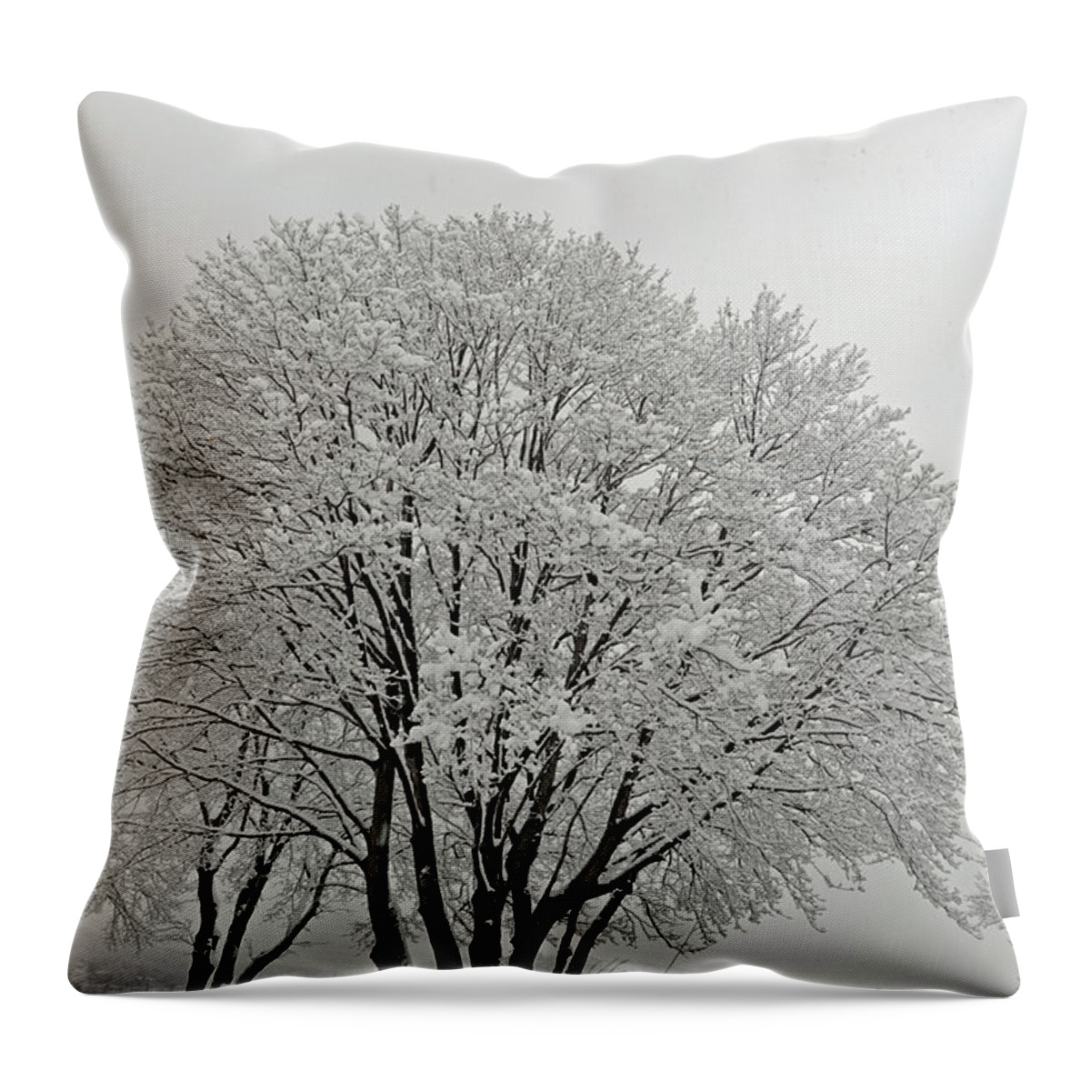 Snow Throw Pillow featuring the photograph Snowy Trees by Richard Bryce and Family