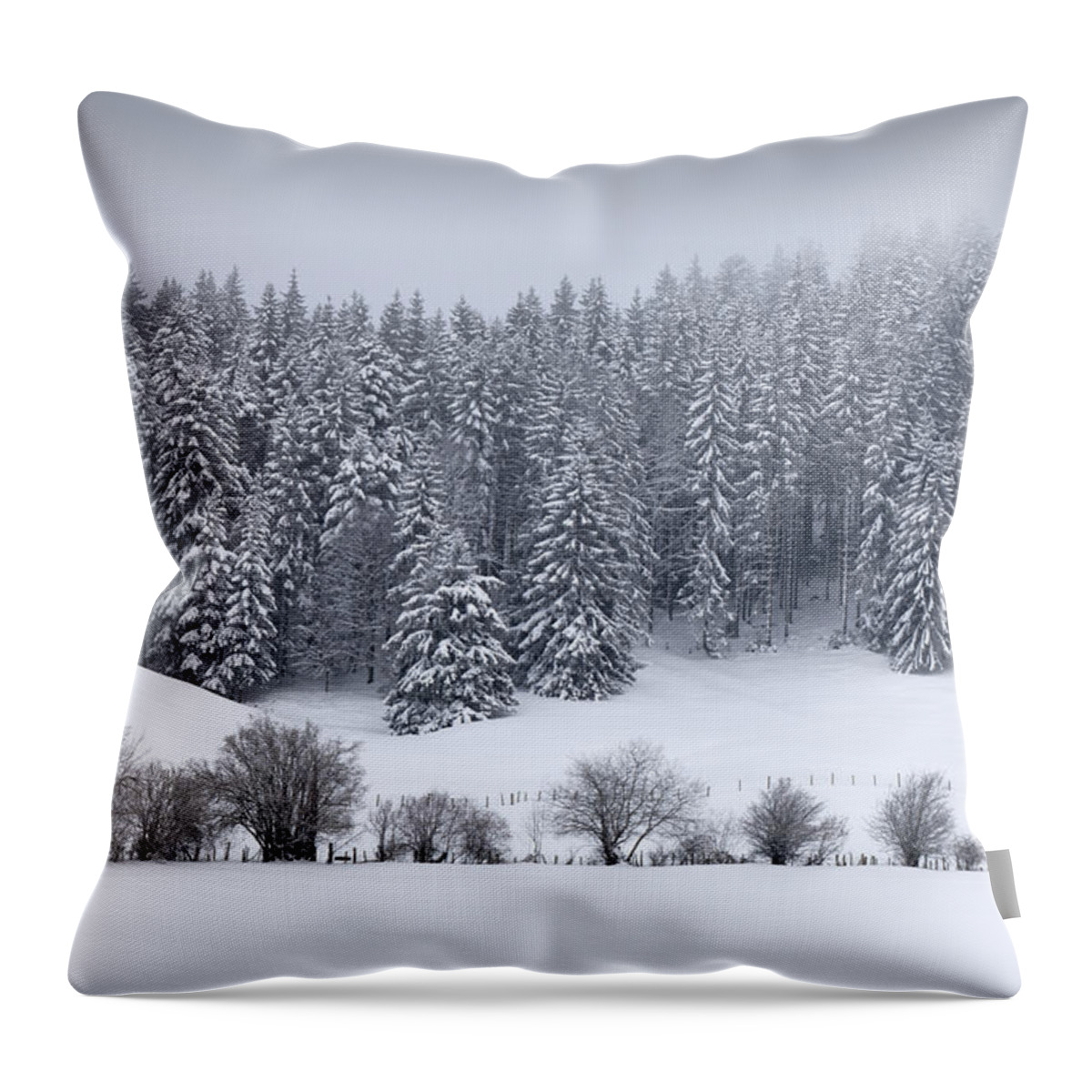 Landscape Throw Pillow featuring the photograph Snowy winter by Dominique Dubied