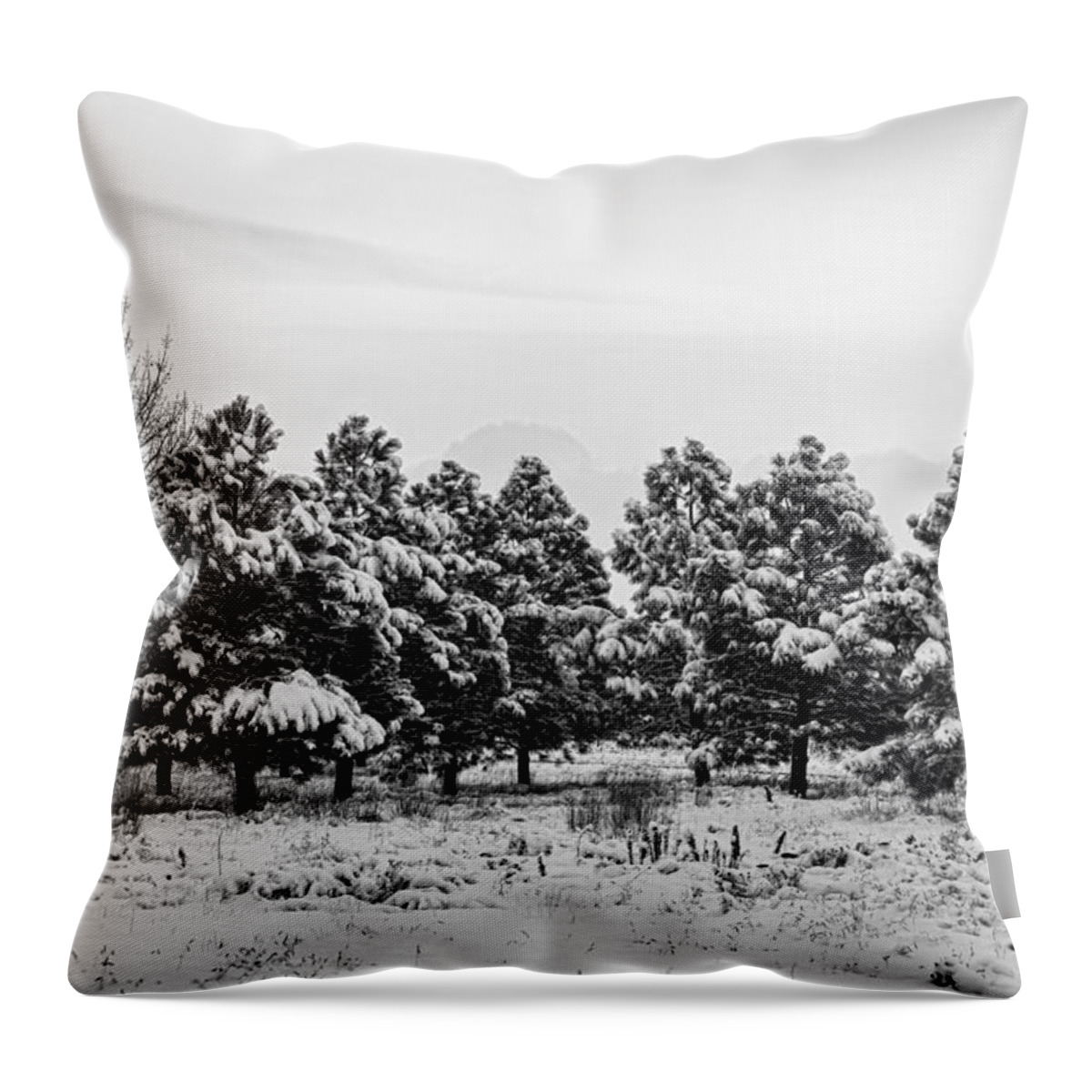 Snow Throw Pillow featuring the photograph Snowy Winter Pine Trees In Black and White by James BO Insogna