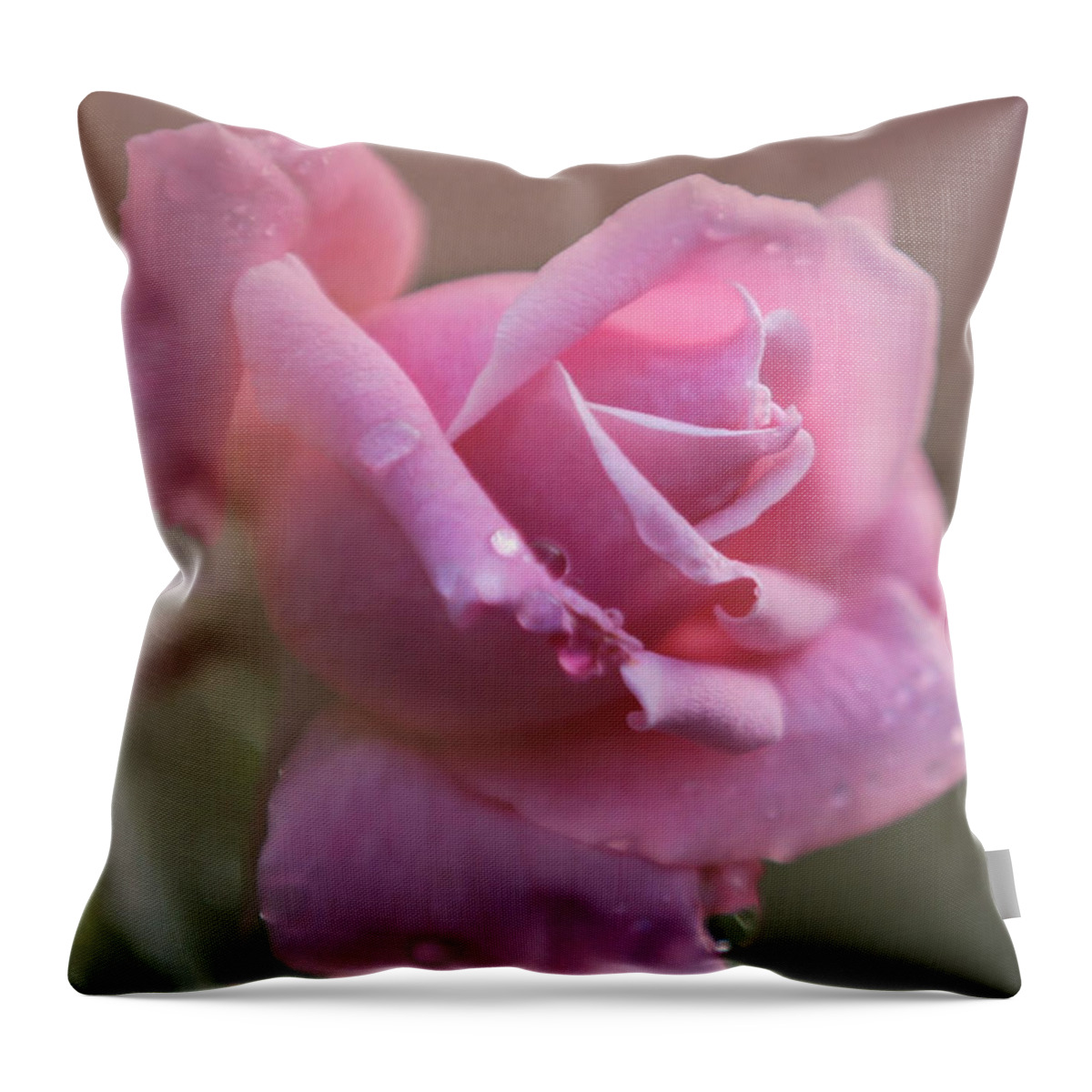Amazing Throw Pillow featuring the photograph So Sweet by Sabrina L Ryan