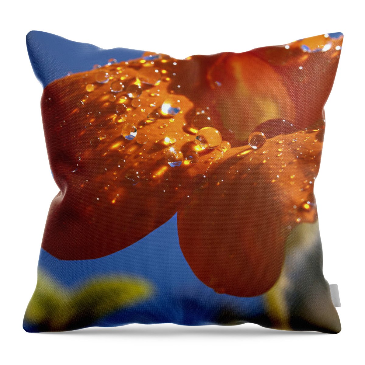 Clockvine Throw Pillow featuring the photograph So What Rhymes with Orange Anyway by Joe Schofield