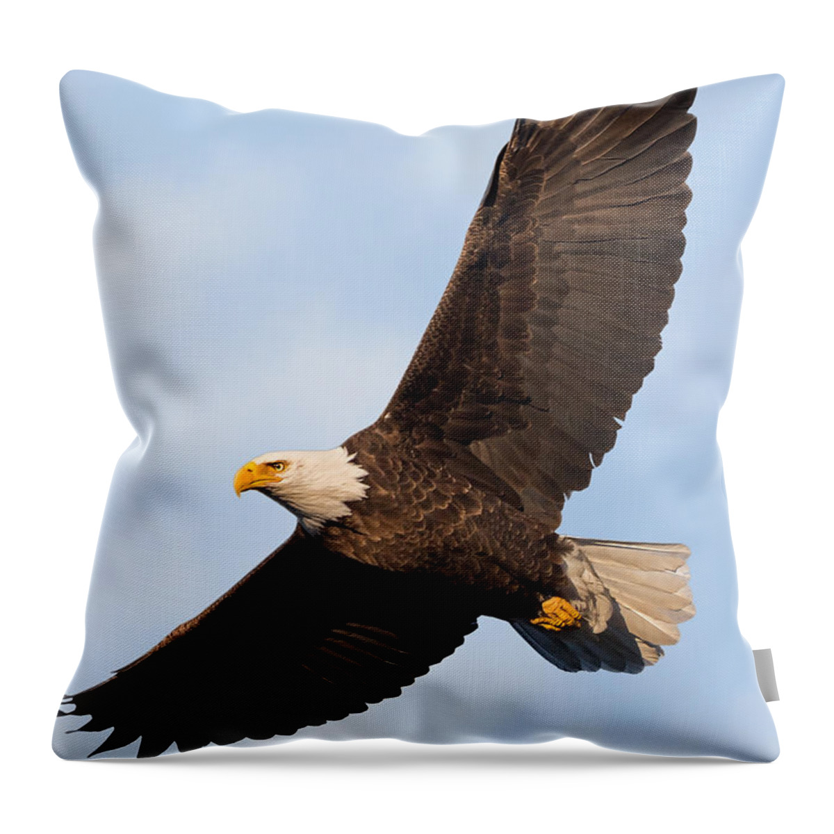 Eagle Throw Pillow featuring the photograph Soaring American Bald Eagle by Bill Wakeley