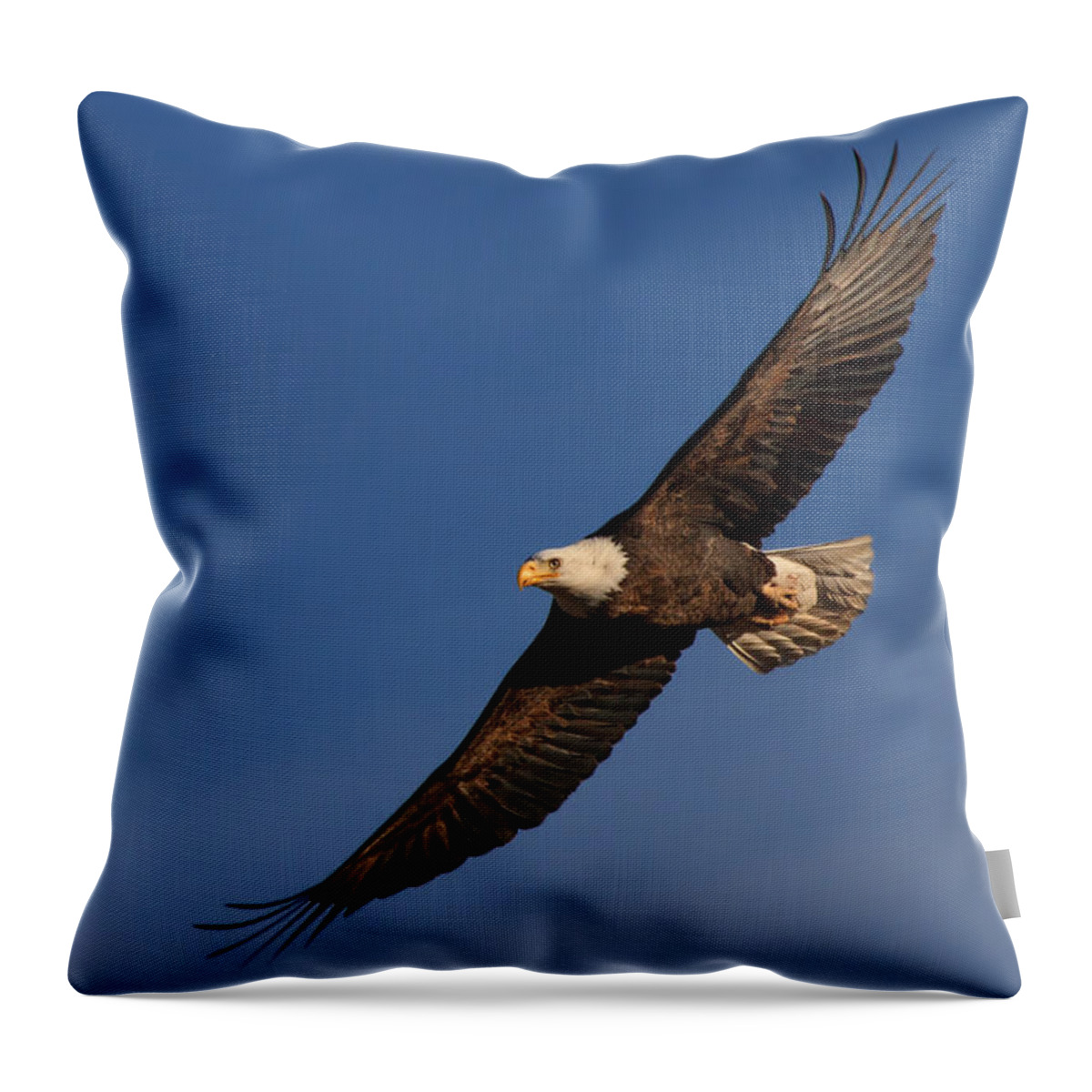 Bald Eagle Throw Pillow featuring the photograph Soaring Bald Eagle by Beth Sargent