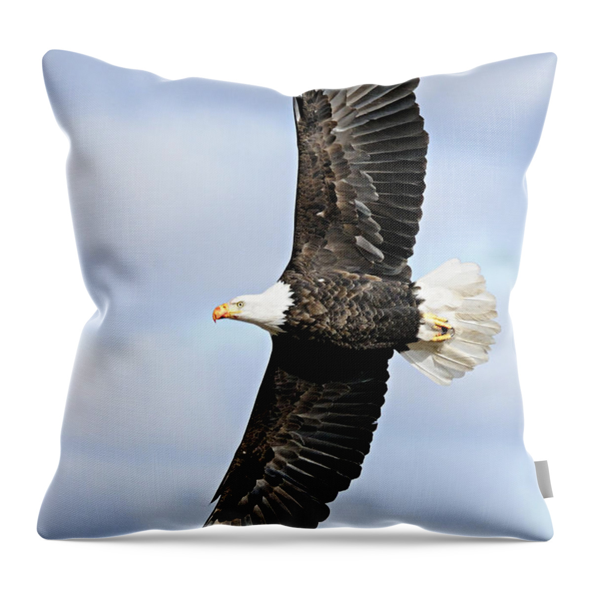Photography Throw Pillow featuring the photograph Soaring Eagle by Larry Ricker