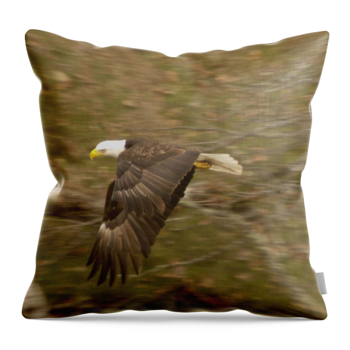 Eagles Throw Pillow featuring the photograph Soaring over by Jeff Swan