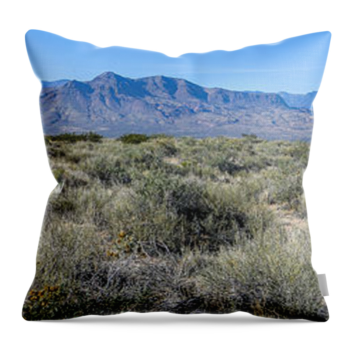 New Mexico Throw Pillow featuring the photograph Socorro New Mexico by Steven Ralser