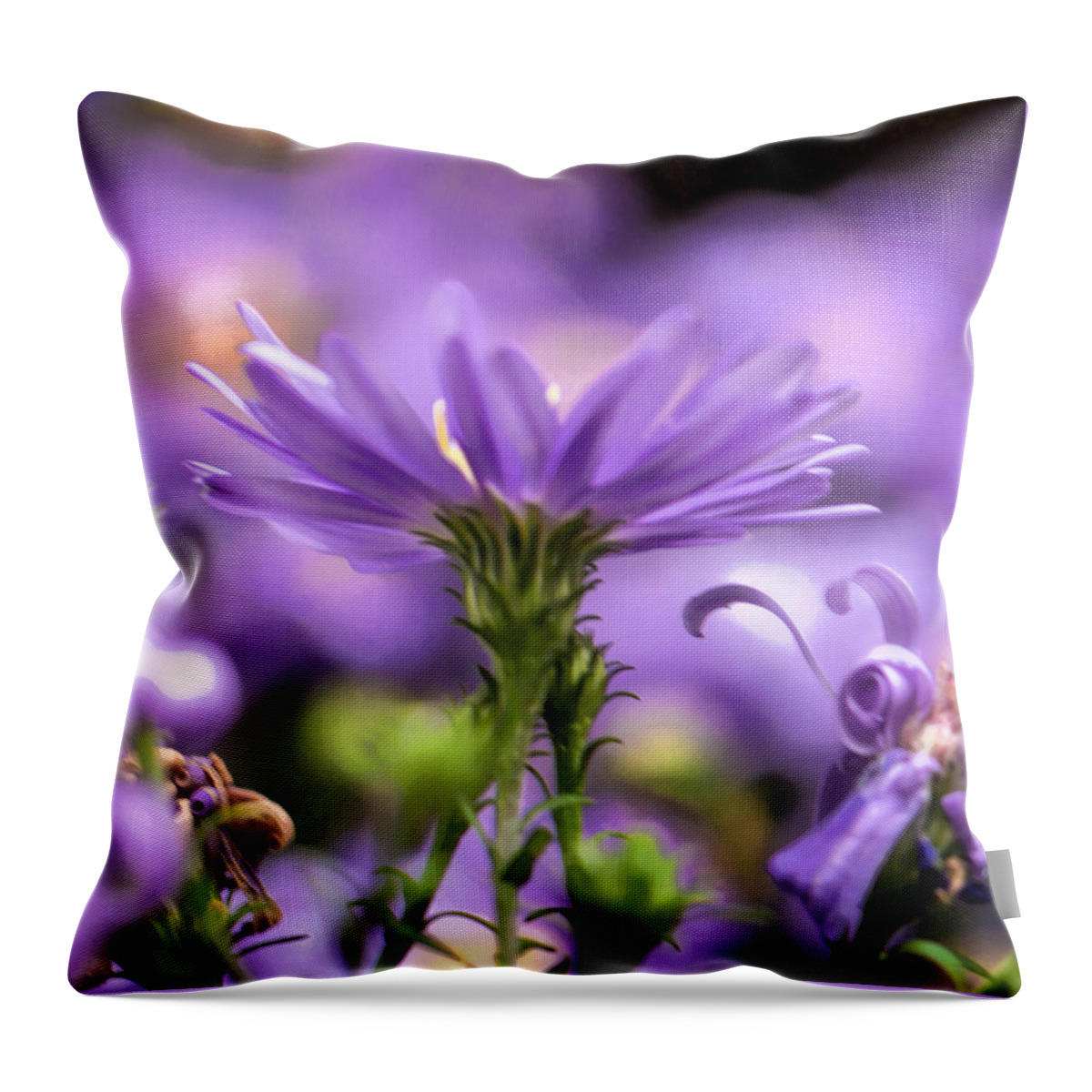 Flower Throw Pillow featuring the photograph Soft lilac by Leif Sohlman
