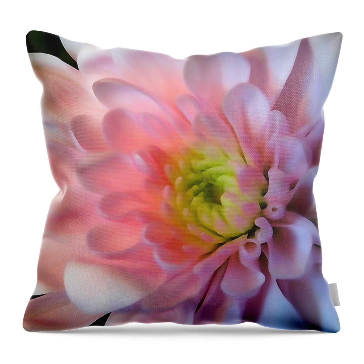 Flower Throw Pillow featuring the photograph Soft Petals by David T Wilkinson