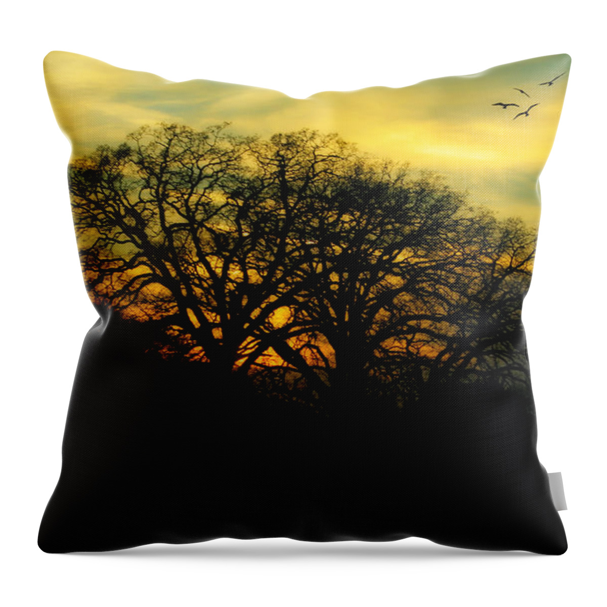 Sky Throw Pillow featuring the photograph Soft Sunset by Joan Bertucci