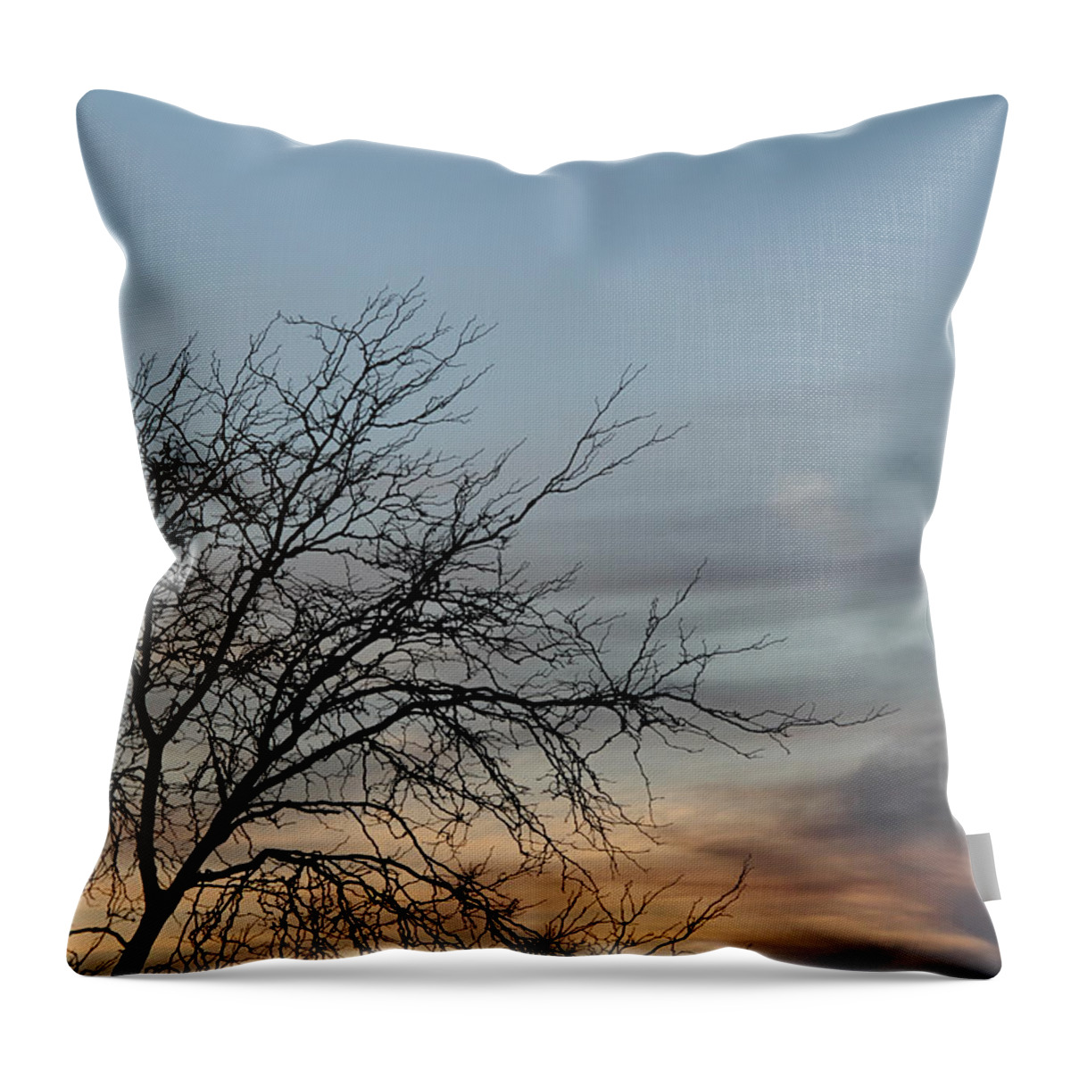 Sky Landscape Throw Pillow featuring the photograph Soft Sunset by Renette Coachman