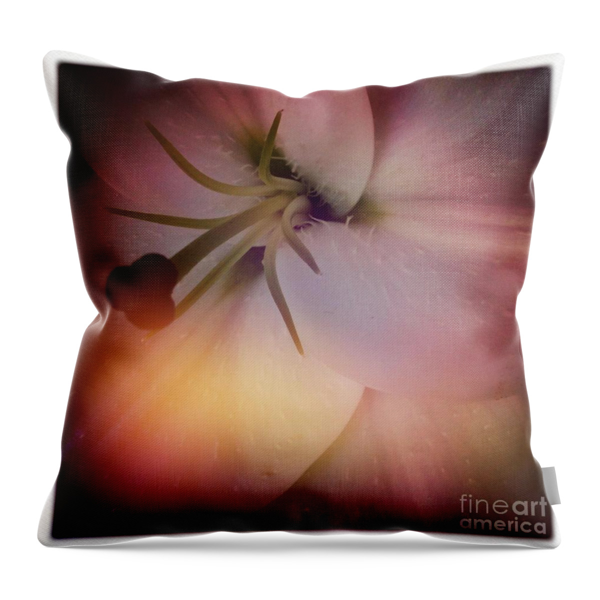 Lily Throw Pillow featuring the photograph Softness by Denise Railey