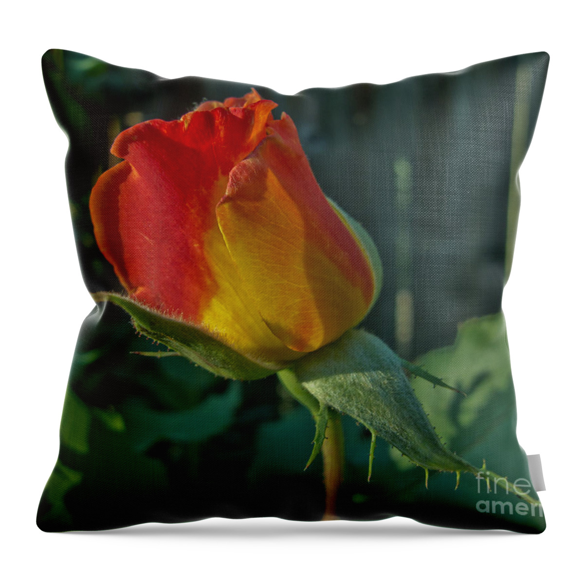 Flower Throw Pillow featuring the photograph Solitaire by Arlene Carmel
